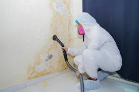 Trusted Iyanbito, NM Mold Inspection Experts